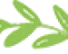 logo leaf new.png